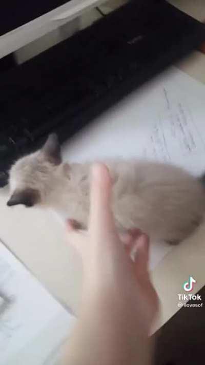 upvote if you want 19$ Fortnite Card