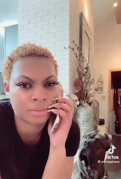 The dog's reaction 🤣🤣