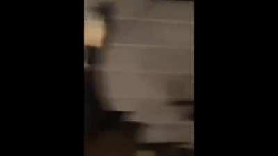 Any of y'all seen animal house?