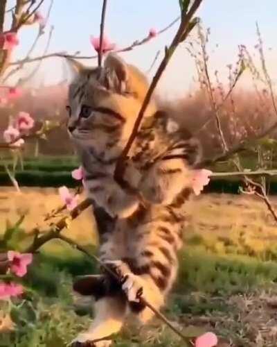 Are you thinking about the future🤣🤣🤣