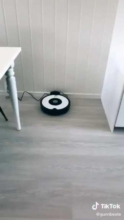 Vacuum cleaners have evolved quite far