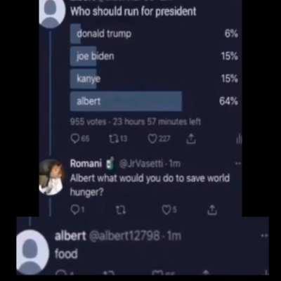 i'll definitely vote for albert