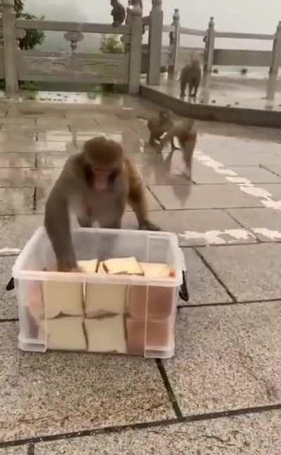 Cris O'neil and company when he finds epic hard copies of the nostalgia critic at a thrift store