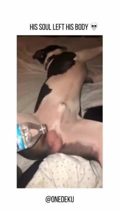 🗿 why did i feel that?