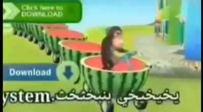 Average day in monkeydonia