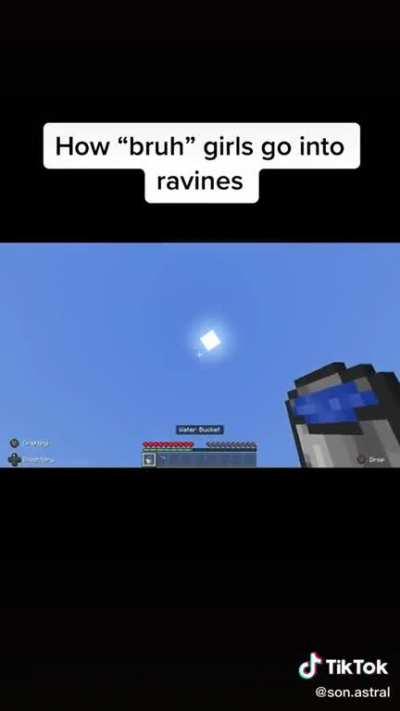 dream but minecraft tiktok