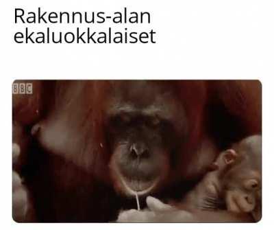 Mina_irl