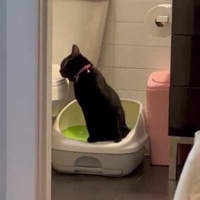 Sometimes life is hard