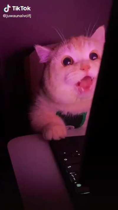 туду - туду. туду-туду. (вкл. звук)