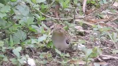 After the divorce Kyle could finally break it down to the sick techno beats Claire despised