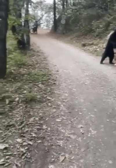 Never attempt to take a selfie with a wild animal