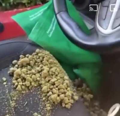 I just know he wanna cry...