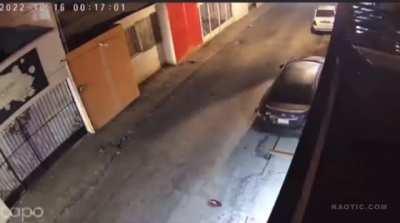 What could go wrong breaking into a house with dogs