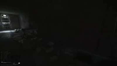 New to Tarkov and my 3 seasoned friends had to spectate this