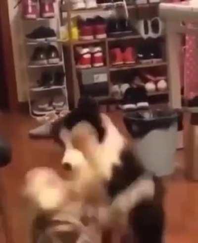 мотивирующего с классическим саундтреком с утра