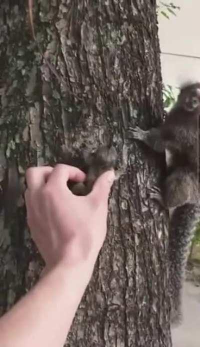 She did not expect this from a human