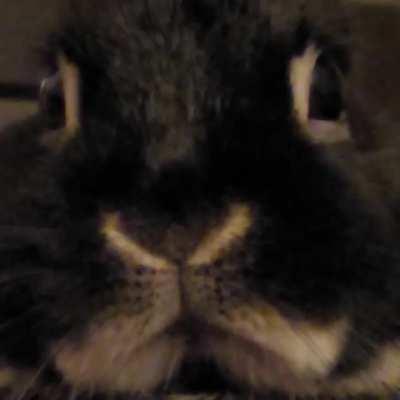 No thoughts brain empty