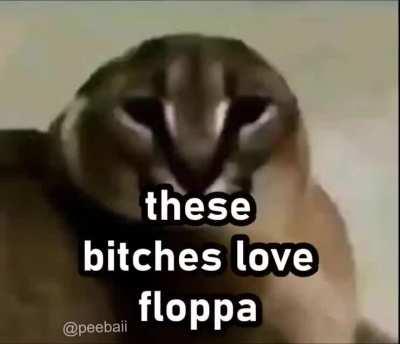 The (rule)s don't apply to me