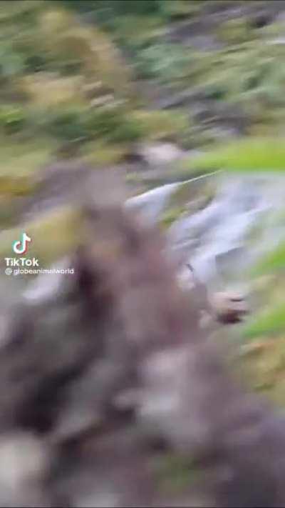 To descend a waterfall…