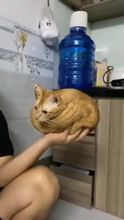 take this orange orb