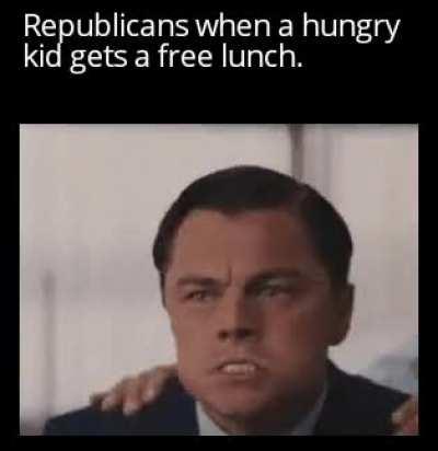 Everytime a kid goes hungry a republican gets their hood.