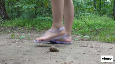 Transparent flat sandals, i love it