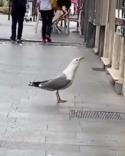 Keeping the streets clean