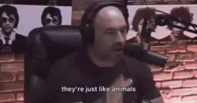 sigma male grind set