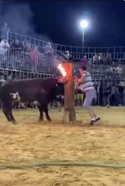 Bull horns set on fire