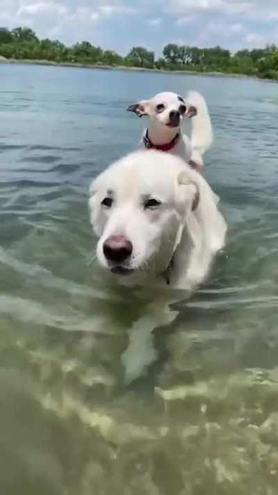 A Unit and His Little Buddy