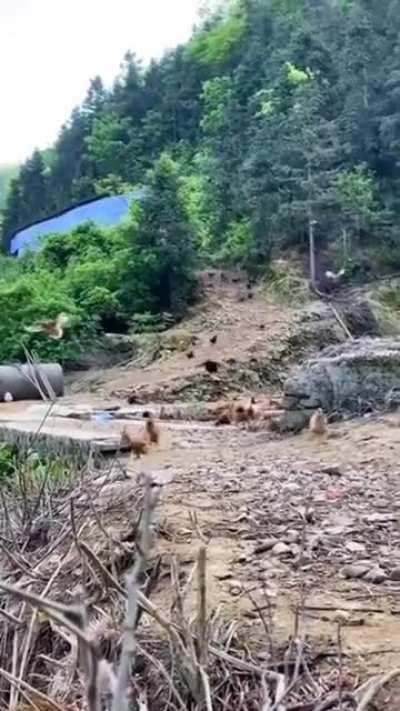 🔥 Chinese girl shouts 