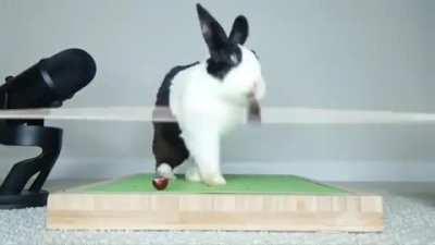 Trying To Eat a Grape