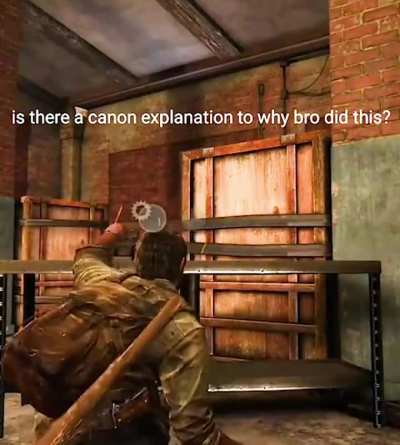 Is there a canon explanation to why bro did this?