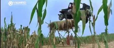 When you hire rotta serial editor for your movie.