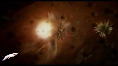 Tbt when the shooting star meme was pog