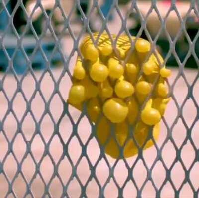 Water balloon, slow motion by legendary shots