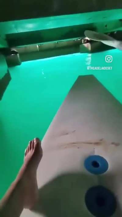 IM GETTING REALLY SCARED BILLY 🦭