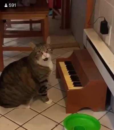 Pud is quite talented