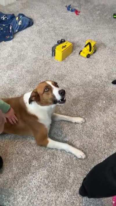 Just needing attention