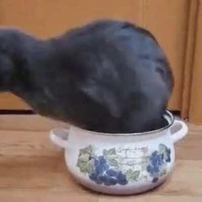 The struggle is real ...