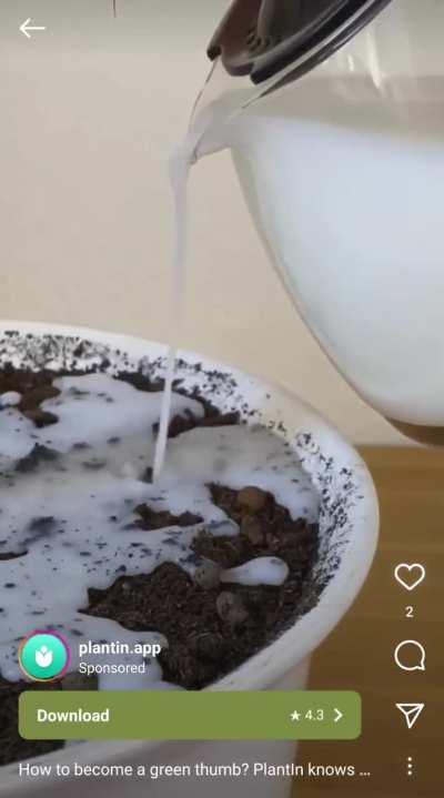 These plant grooming ads are wild. Why would you give them milk or SODA?! 