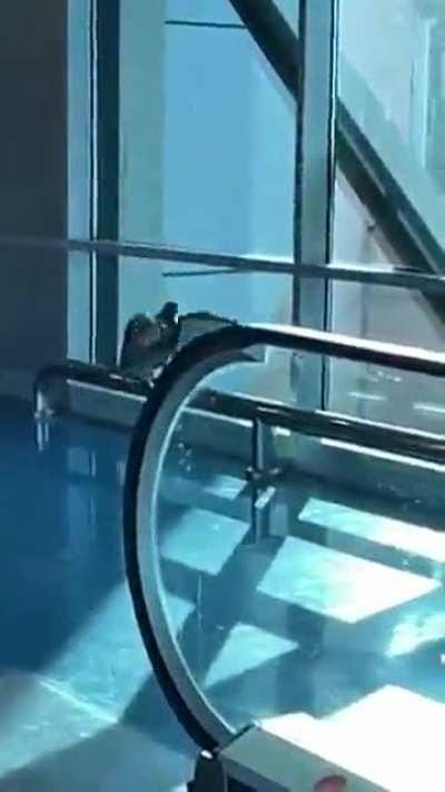 7amama cardio routine