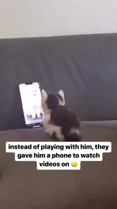 Digital distraction or Phone Addiction? 🐈📱