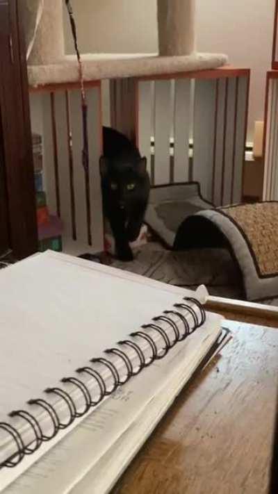 We chitter together 🥰