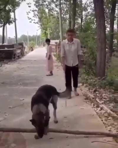 Good boy always a bro ❤️