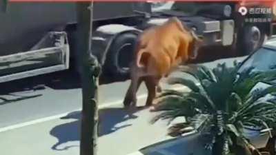 quenpingante que es cuando pasa esto jaja