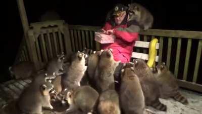 This video of a man feeding raccoons warms my heart