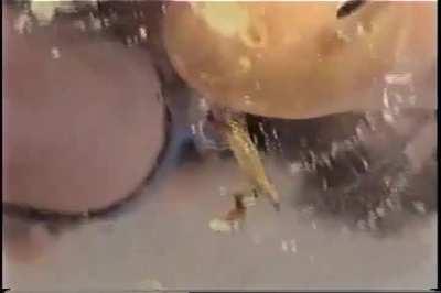 By popular demand, the full superworms underglass video. Enjoy!