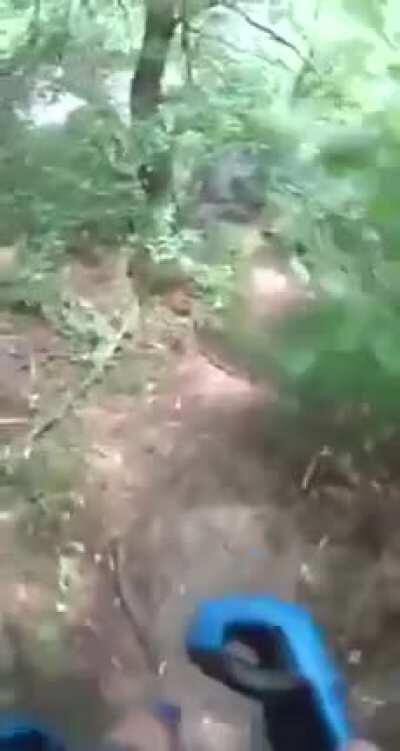 Someone is pretty fed up from junkies!