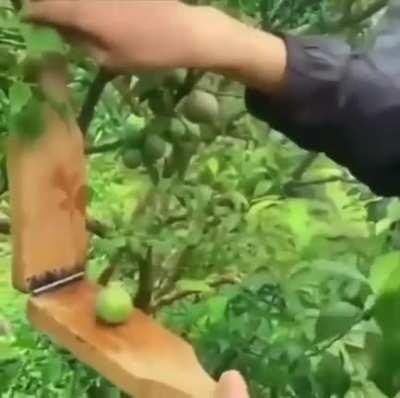 ︎︎︎︎︎︎︎